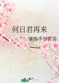 何日君再來