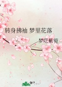 轉身拂袖 夢裡花落