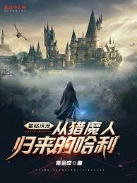 （HP同人）霍格沃茨：从猎魔人归来的哈利